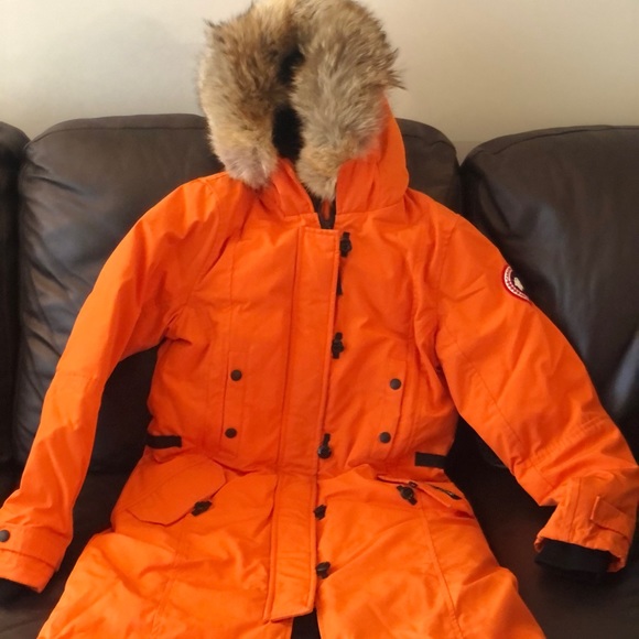 Canada goose - Picture 2 of 7